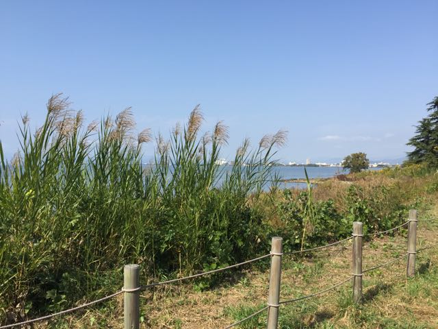 琵琶湖の秋