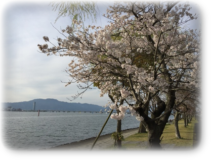 琵琶湖湖畔２